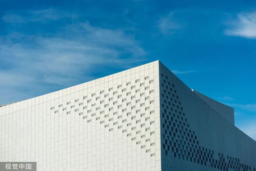 8萬(wàn)元深圳3日游？網(wǎng)友調(diào)侃 努力一把，9萬(wàn)元回家